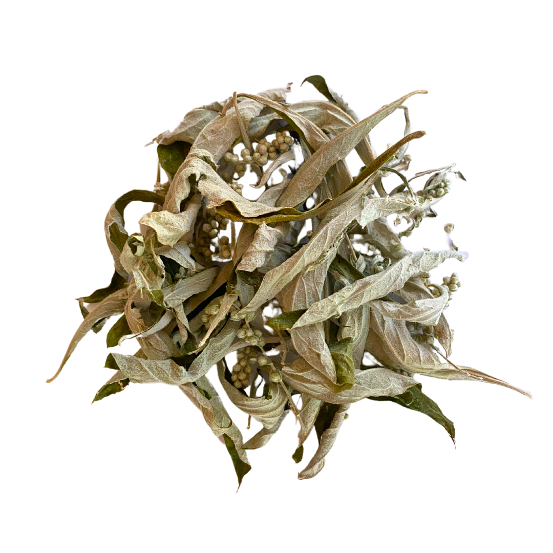 PLF Mugwort