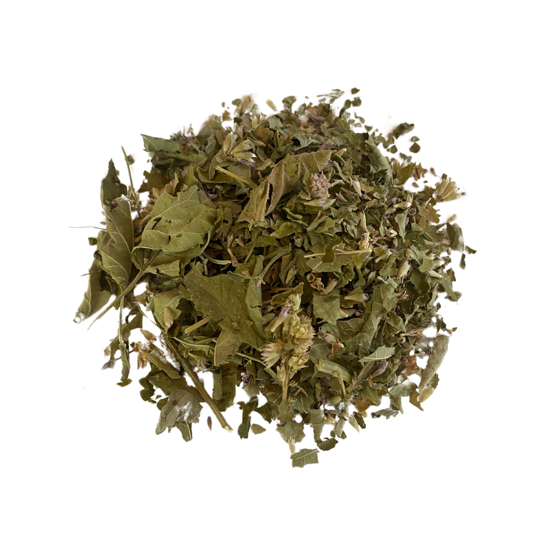 PLF Anise Hyssop