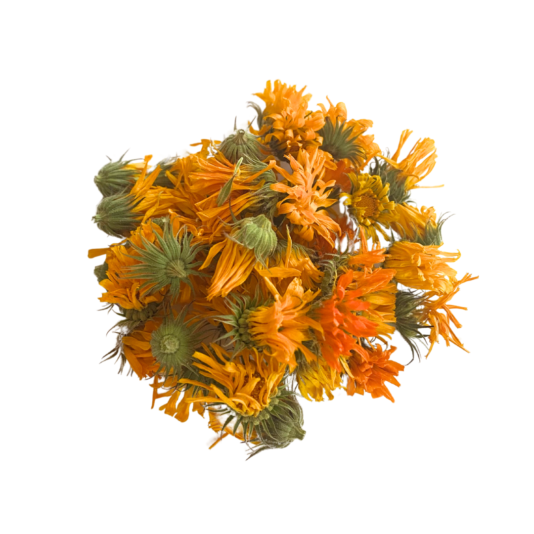 PLF Calendula
