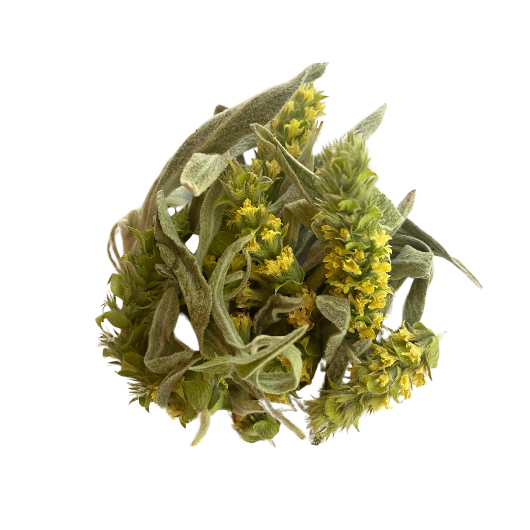 PLF Greek Mountain Tea