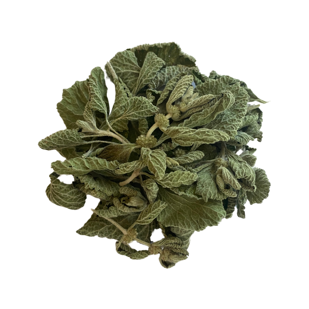 PLF Horehound
