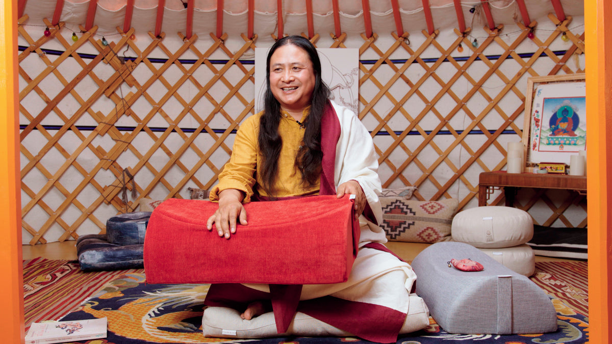 Samaya Ruby Saddle Cushion